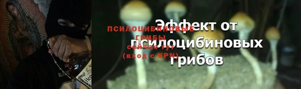 эйфоретик Касимов