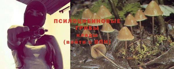 мдпв Каменск-Шахтинский