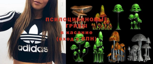 мдпв Каменск-Шахтинский