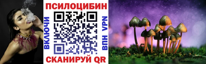 ссылка на мегу tor  Электрогорск  Галлюциногенные грибы GOLDEN TEACHER 