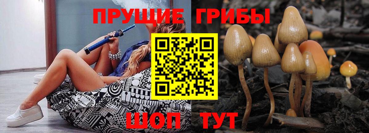Электрогорск  Псилоцибиновые грибы Magic Shrooms  Псилоцибиновые грибы MAGIC MUSHROOMS  Вход с VPN 