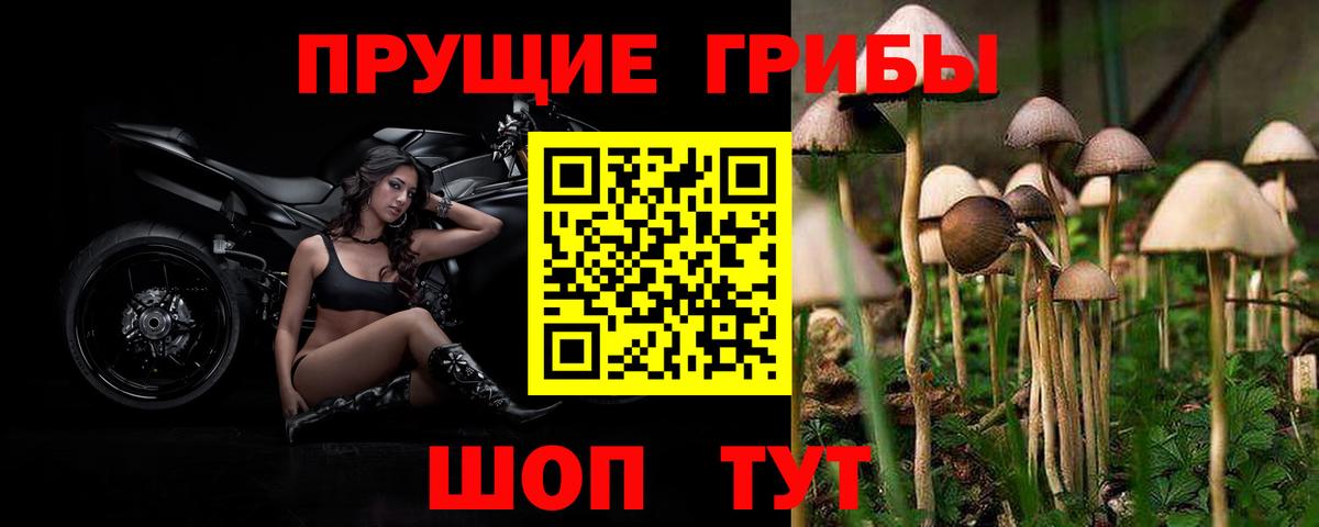 Псилоцибиновые грибы ЛСД Электрогорск